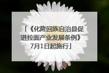 《化隆回族自治县促进拉面产业发展条例》7月1日起施行