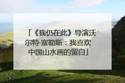 《我仍在此》导演沃尔特·塞勒斯：我喜欢中国山水画的留白