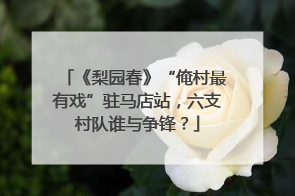 《梨园春》“俺村最有戏”驻马店站，六支村队谁与争锋？