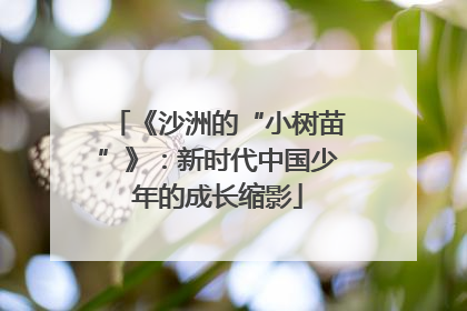 《沙洲的“小树苗”》：新时代中国少年的成长缩影