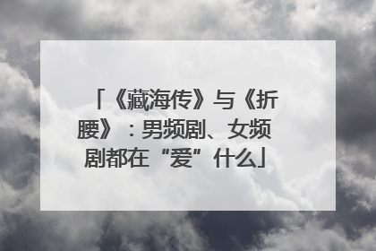 《藏海传》与《折腰》：男频剧、女频剧都在“爱”什么