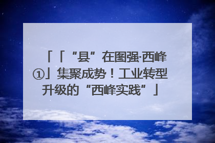 「“县”在图强·西峰①」集聚成势！工业转型升级的“西峰实践”