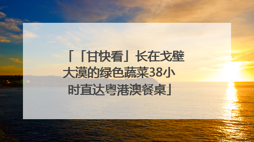 「甘快看」长在戈壁大漠的绿色蔬菜38小时直达粤港澳餐桌