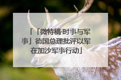 「微特稿·时事与军事」德国总理批评以军在加沙军事行动