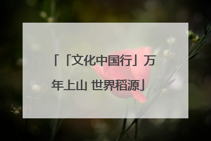 「文化中国行」万年上山 世界稻源