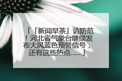 「新闻早茶」请防范！河北省气象台继续发布大风蓝色预警信号，还有这些热点……