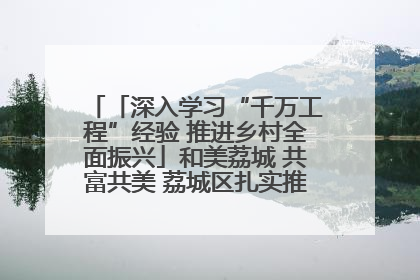 「深入学习“千万工程”经验 推进乡村全面振兴」和美荔城 共富共美 荔城区扎实推进乡村振兴工作