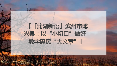 「蒲湖新语」滨州市博兴县：以“小切口”做好数字惠民“大文章”