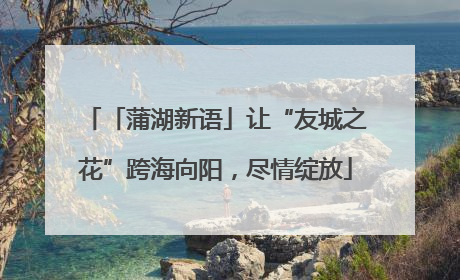「蒲湖新语」让“友城之花”跨海向阳，尽情绽放