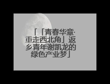 「青春华章·重走西北角」返乡青年谢凯龙的绿色产业梦