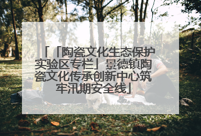 「陶瓷文化生态保护实验区专栏」景德镇陶瓷文化传承创新中心筑牢汛期安全线
