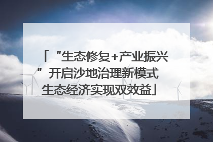 “生态修复+产业振兴”开启沙地治理新模式 生态经济实现双效益