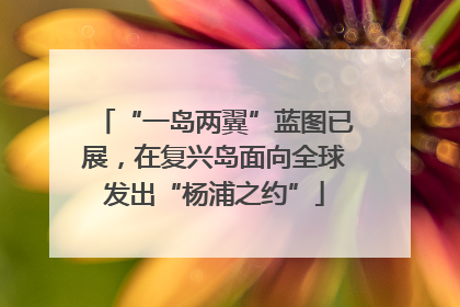“一岛两翼”蓝图已展，在复兴岛面向全球发出“杨浦之约”