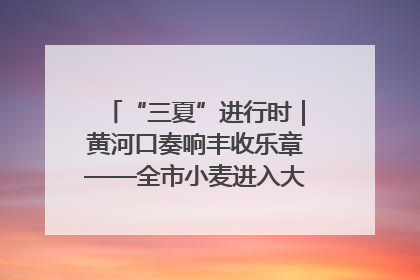 “三夏”进行时｜黄河口奏响丰收乐章——全市小麦进入大面积收获高峰期