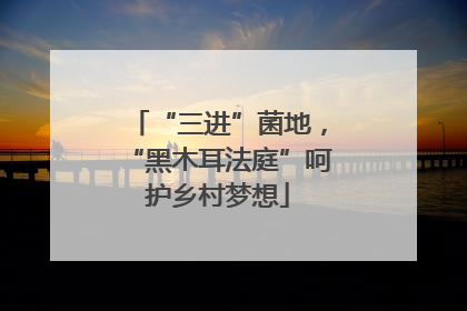 “三进”菌地，“黑木耳法庭”呵护乡村梦想