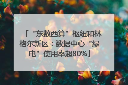 “东数西算”枢纽和林格尔新区：数据中心“绿电”使用率超80%