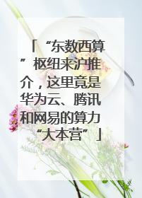 “东数西算”枢纽来沪推介，这里竟是华为云、腾讯和网易的算力“大本营”