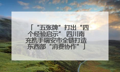 “五张牌”打出“四个经验启示” 四川南充携手瑞安市全链打造东西部“消费协作”