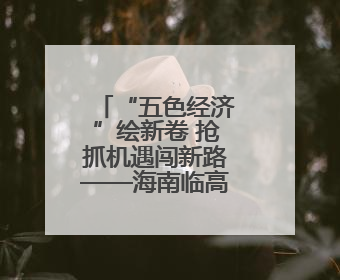 “五色经济”绘新卷 抢抓机遇闯新路——海南临高助力自贸港建设一线见闻