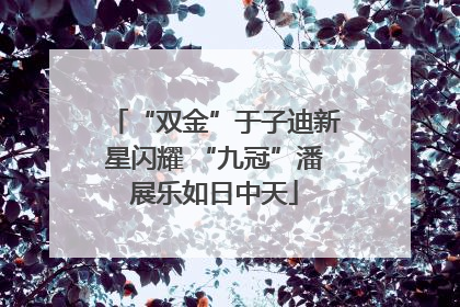 “双金”于子迪新星闪耀 “九冠”潘展乐如日中天