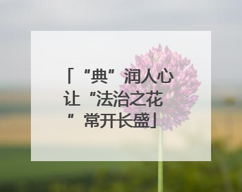 “典”润人心 让“法治之花”常开长盛