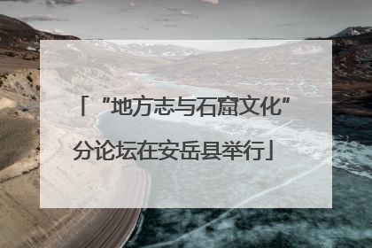 “地方志与石窟文化”分论坛在安岳县举行