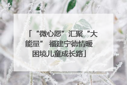 “微心愿”汇聚“大能量” 福建宁德情暖困境儿童成长路