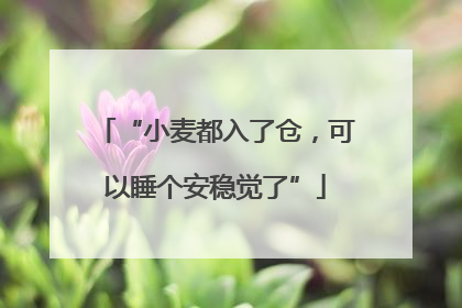 “小麦都入了仓，可以睡个安稳觉了”
