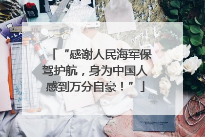 “感谢人民海军保驾护航，身为中国人感到万分自豪！”