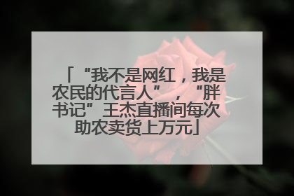 “我不是网红，我是农民的代言人”，“胖书记”王杰直播间每次助农卖货上万元