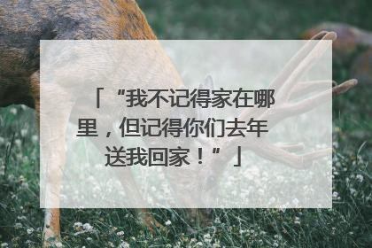 “我不记得家在哪里，但记得你们去年送我回家！”