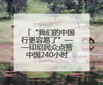 “我们的中国行更容易了”——印尼民众点赞中国240小时过境免签政策