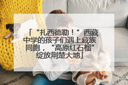 “扎西德勒！”西藏中学的孩子们遇上藏族同胞，“高原红石榴”绽放荆楚大地