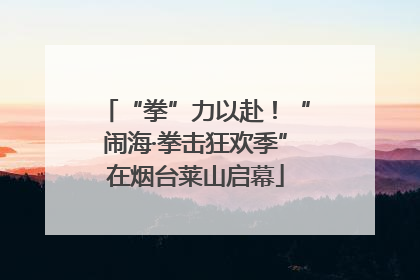 “拳”力以赴！“闹海·拳击狂欢季”在烟台莱山启幕