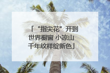 “指尖花”开到世界橱窗 小凉山千年纹样绽新色