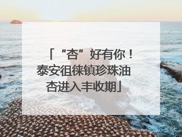 “杏”好有你！泰安徂徕镇珍珠油杏进入丰收期