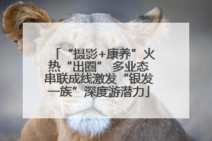 “摄影+康养”火热“出圈” 多业态串联成线激发“银发一族”深度游潜力