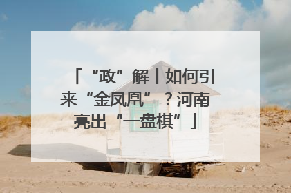 “政”解丨如何引来“金凤凰”？河南亮出“一盘棋”