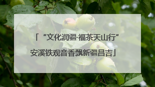 “文化润疆·福茶天山行”安溪铁观音香飘新疆昌吉