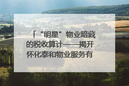 “明星”物业暗藏的税收算计——揭开怀化泰和物业服务有限公司隐匿未开票收入偷税真相