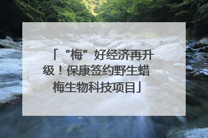 “梅”好经济再升级！保康签约野生蜡梅生物科技项目