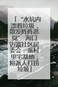 “水坑内漂着垃圾，散发阵阵恶臭” 海口迈瀛社区居委会：系村里宅基地，将派人打捞垃圾