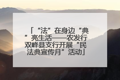 “法”在身边“典”亮生活——农发行双峰县支行开展“民法典宣传月”活动