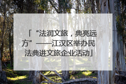 “法润文旅，典亮远方”——江汉区举办民法典进文旅企业活动