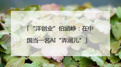 “洋创业”伯涵峥：在中国当一名AI“弄潮儿”