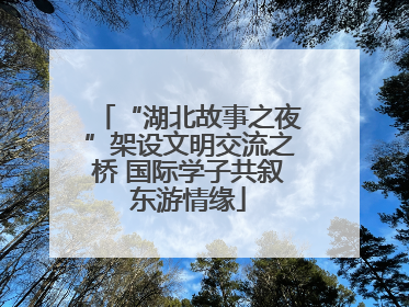 “湖北故事之夜”架设文明交流之桥 国际学子共叙东游情缘