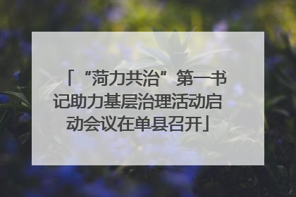 “菏力共治”第一书记助力基层治理活动启动会议在单县召开