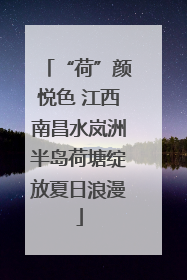 “荷”颜悦色 江西南昌水岚洲半岛荷塘绽放夏日浪漫