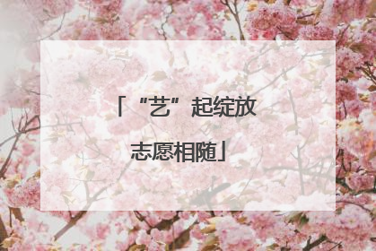 “艺”起绽放 志愿相随