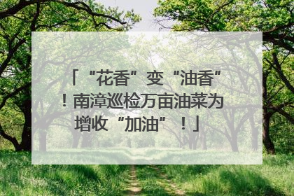 “花香”变“油香”！南漳巡检万亩油菜为增收“加油”！